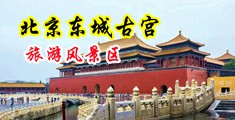 女人B操大吊中国北京-东城古宫旅游风景区